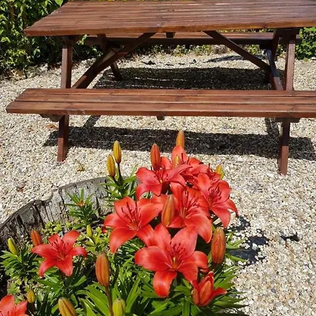 Le Domaine De Bellevue 3* Tanzac