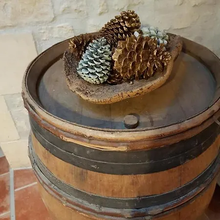 Le Domaine De Bellevue * Tanzac