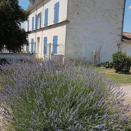 Bed & Breakfast Le Domaine De Bellevue