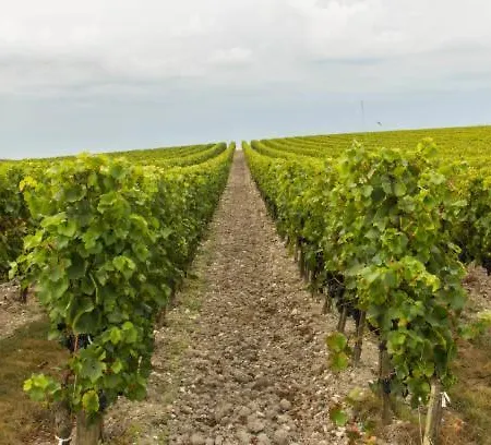 Le Domaine De Bellevue Tanzac