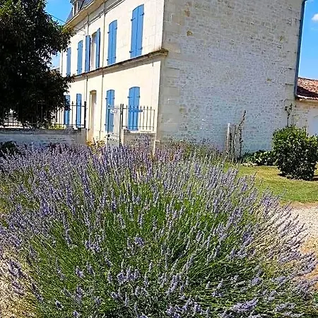 Le Domaine De Bellevue Bed & Breakfast Tanzac