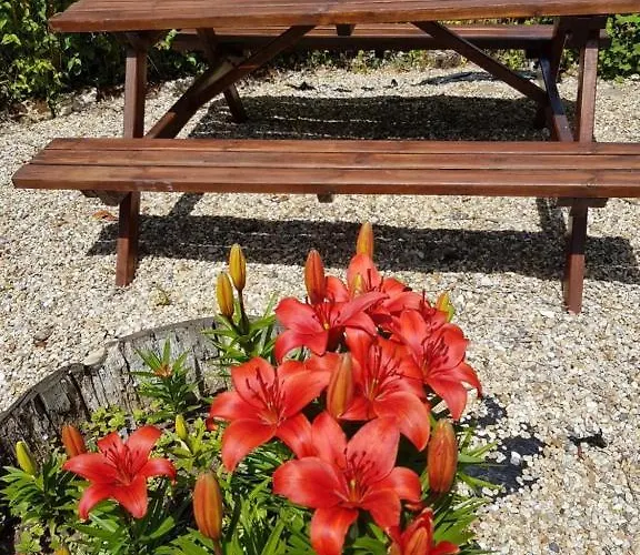 Le Domaine De Bellevue 3* Tanzac