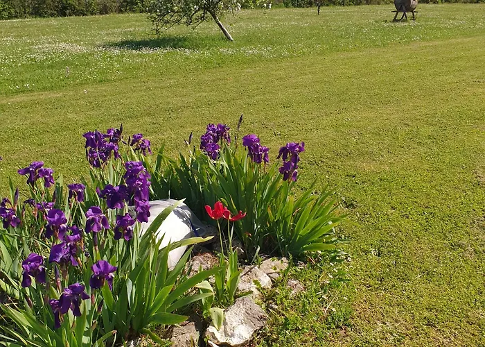 Bed and Breakfast Le Domaine De Bellevue Tanzac